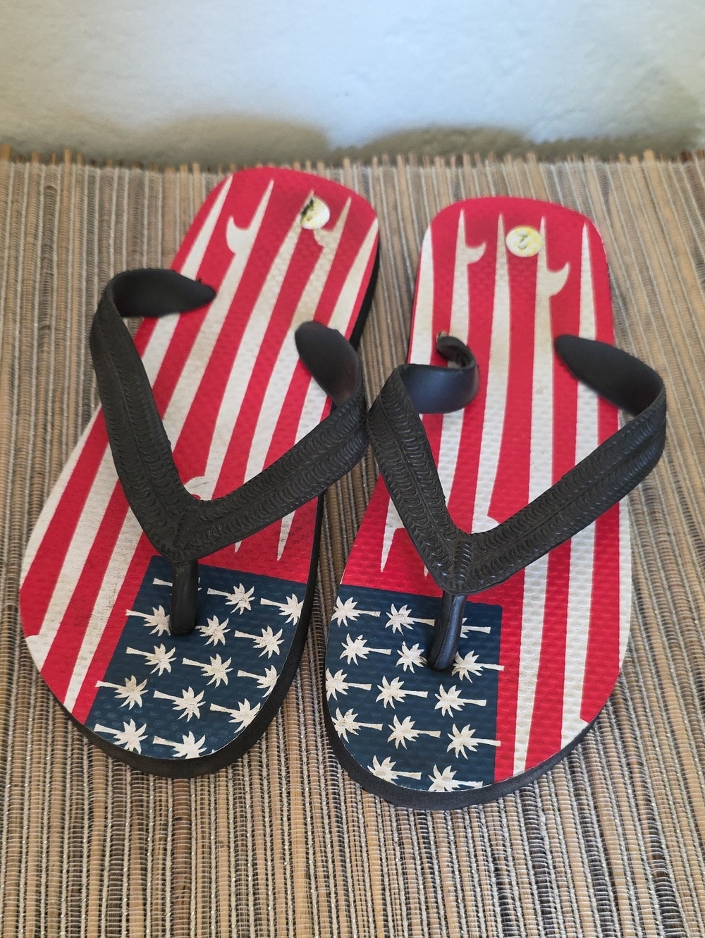 Kids Red & Blue Flag-Print Flip Flops